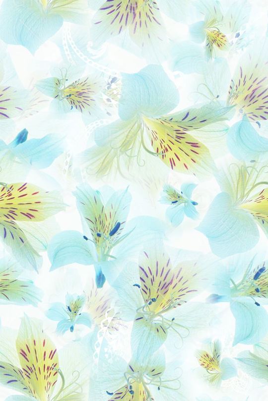 小清新花卉印花华亿平台图片