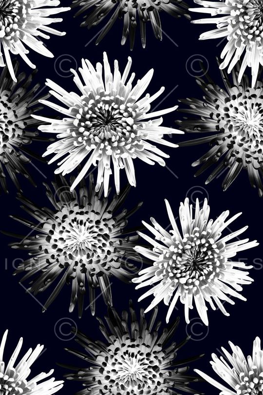 最新流行欧美彩色抽象花印花华亿平台图片