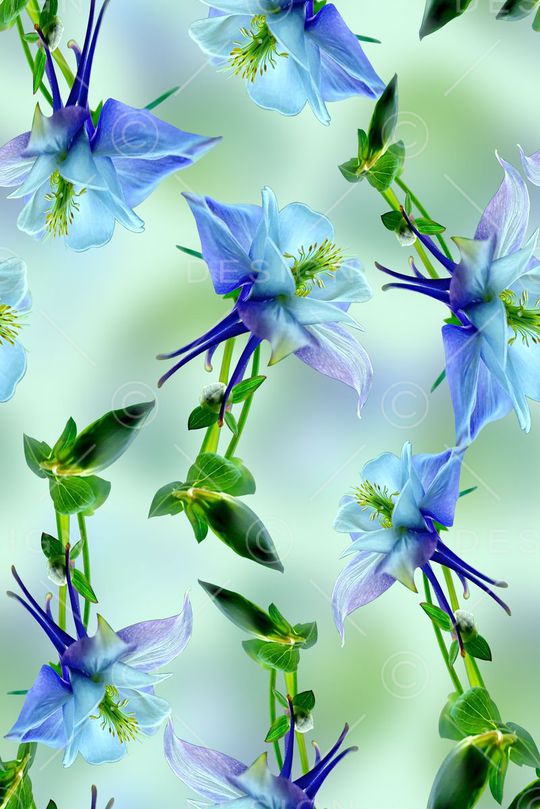 抽象花卉印花华亿平台图片