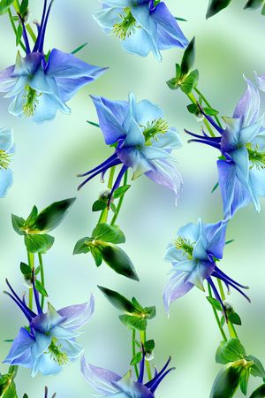 抽象花卉印花华亿平台图片