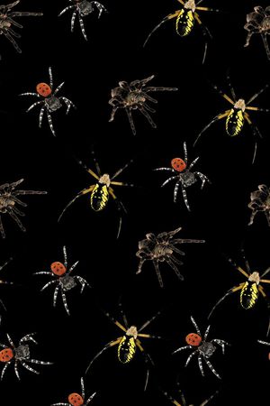 昆虫印花华亿平台图片