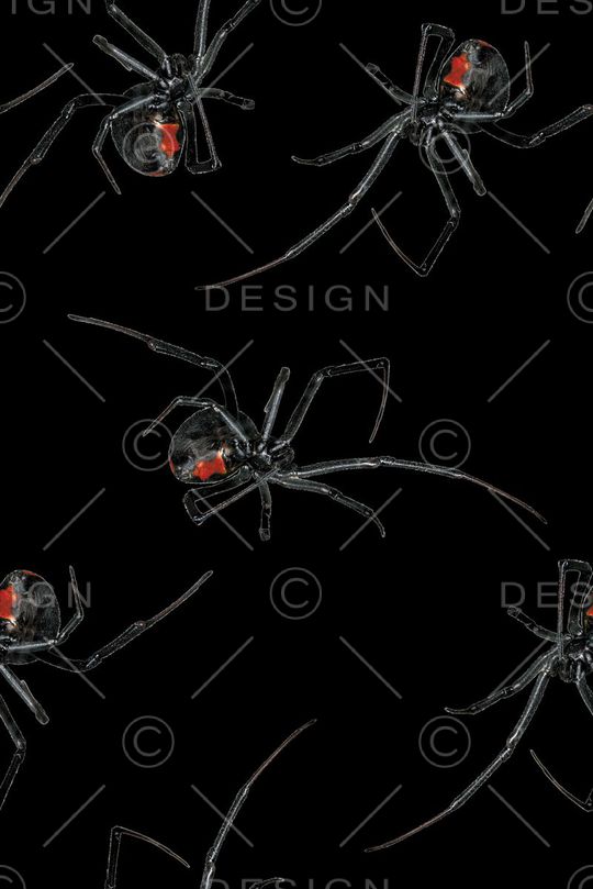 昆虫印花华亿平台图片