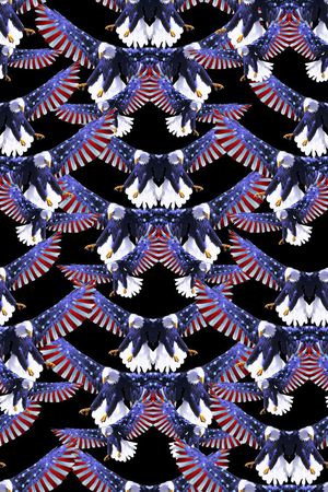 老鹰印花华亿平台图片