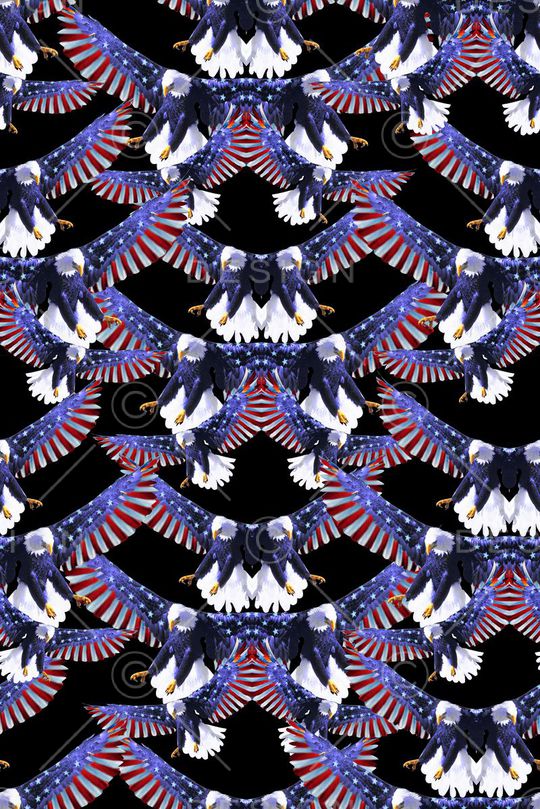 老鹰印花华亿平台图片