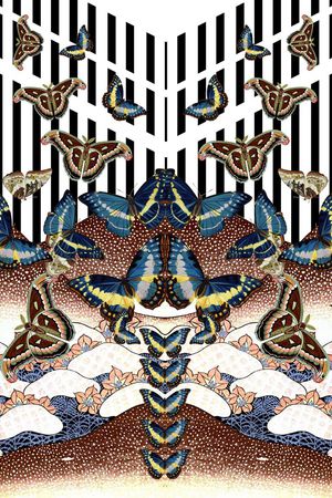 手绘蝴蝶印花华亿平台图片