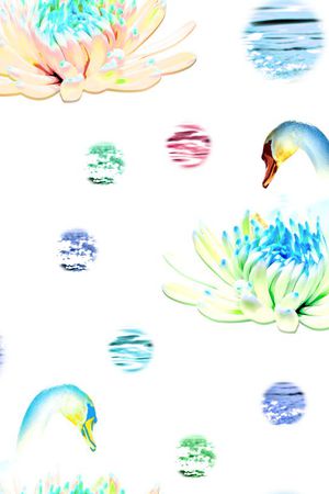 天鹅印花华亿平台图片