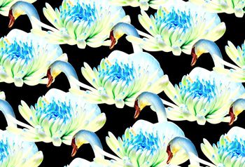 595439-天鹅美丽绽放花卉