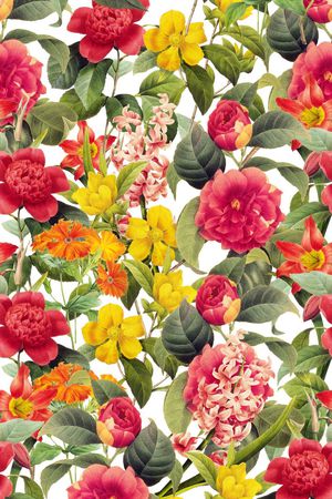 大花印花华亿平台图片