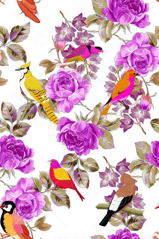 花鸟印花华亿平台图片