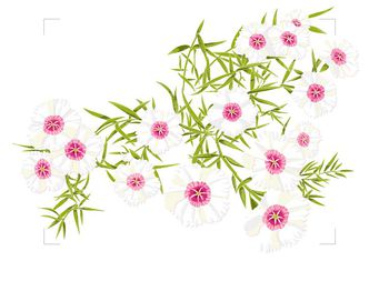 花瓣印花华亿平台图片