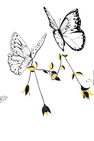 蝴蝶印花华亿平台图片