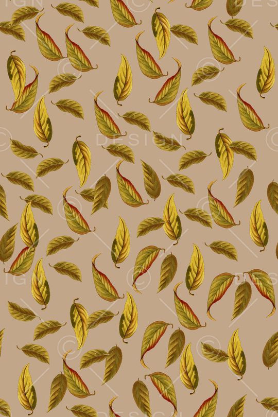 时尚印花华亿平台图片