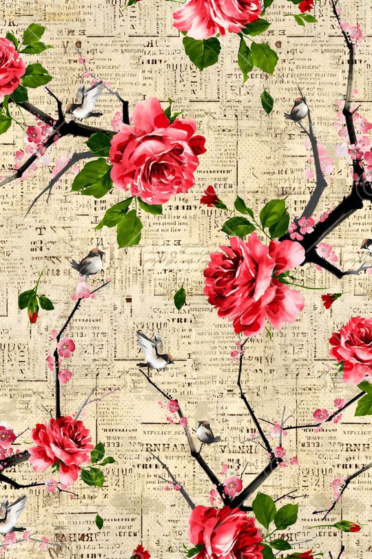 花鸟印花华亿平台图片