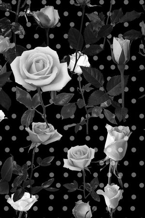 暗黑波点玫瑰印花华亿平台图片