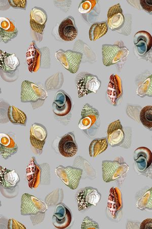 时尚海洋风印花华亿平台图片