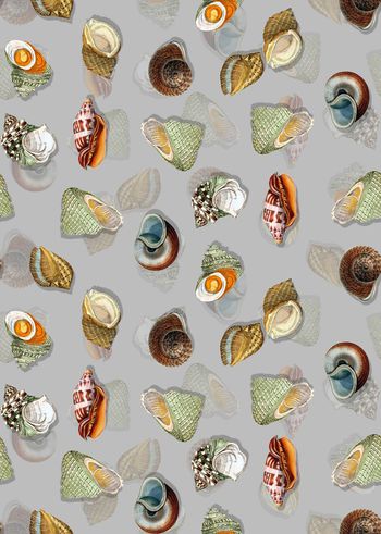 595793-清新复古手绘海螺印花2