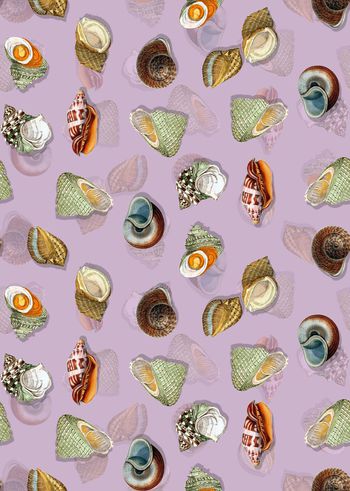 595794-清新复古手绘海螺印花2