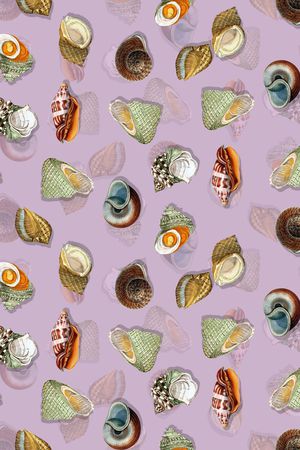 时尚海洋风印花华亿平台图片