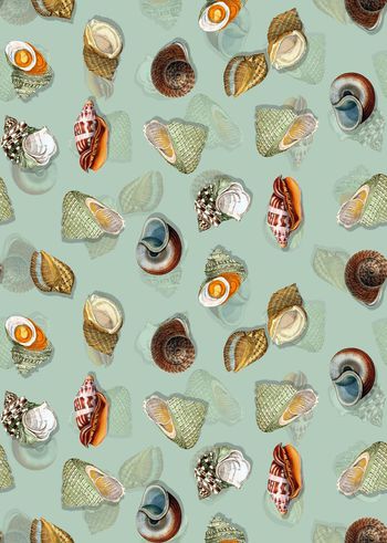 595795-清新复古手绘海螺印花2