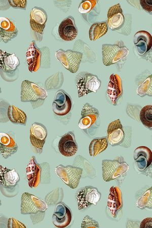 时尚海洋风印花华亿平台图片