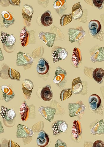 595796-清新复古手绘海螺印花2