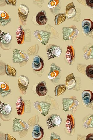 时尚海洋风印花华亿平台图片