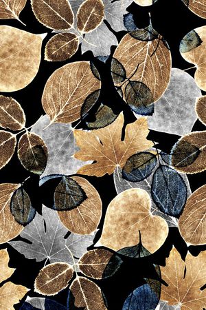 热带树叶印花华亿平台图片