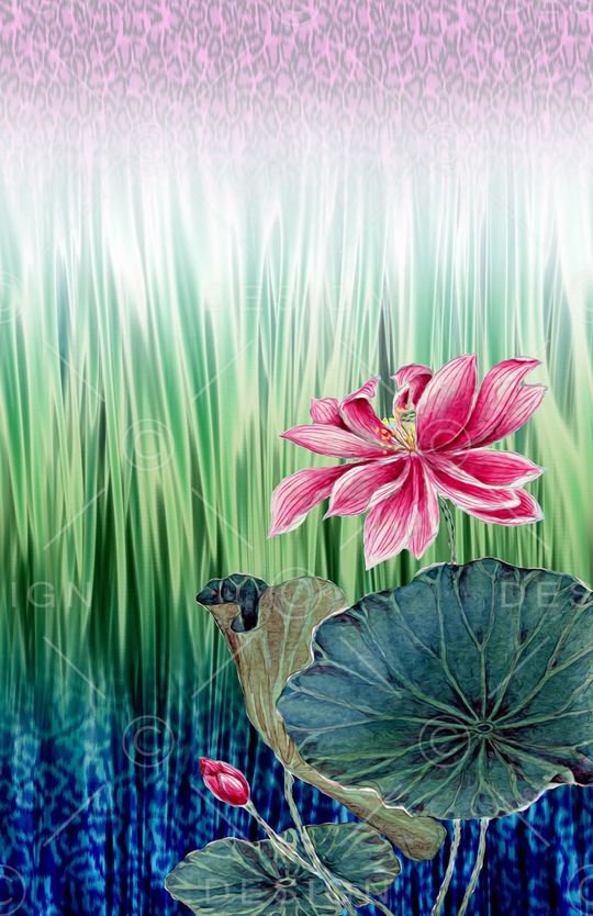 女装印花华亿平台图片