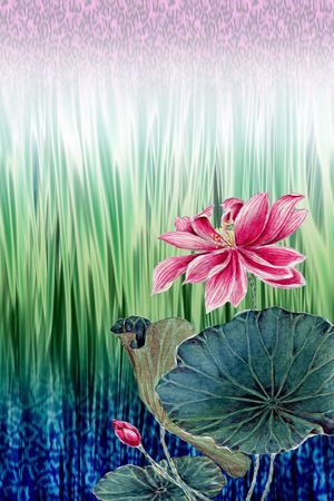 女装印花华亿平台图片