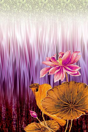 女装印花华亿平台图片