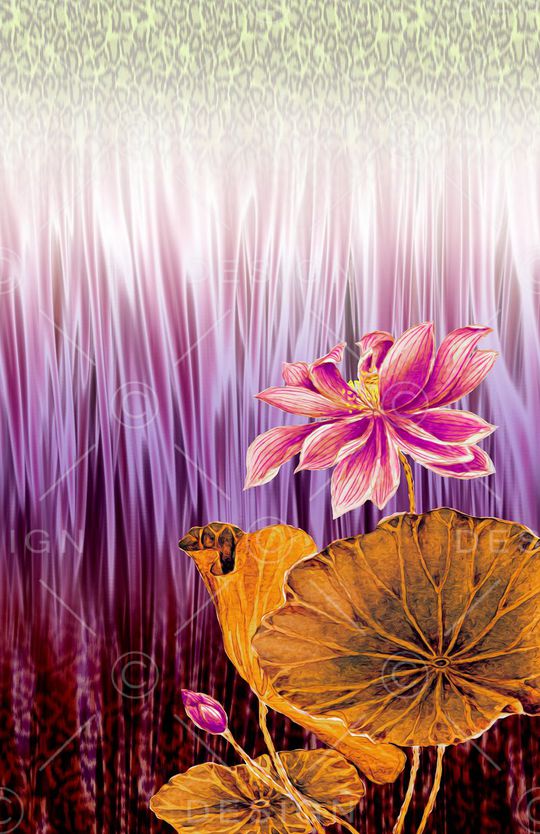 女装印花华亿平台图片