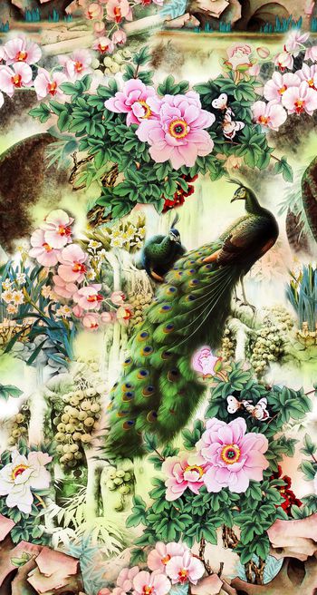 595999-中国风孔雀牡丹工笔画