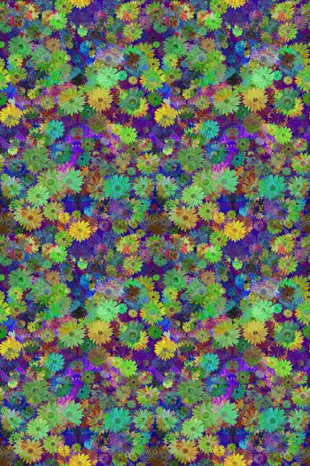 596148-花艺坊时尚色彩花卉