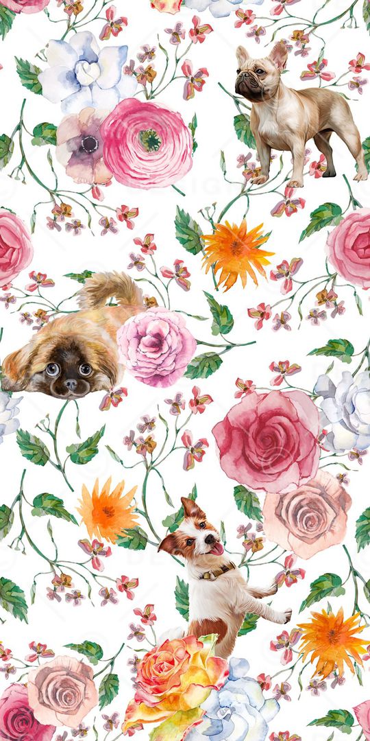 水仙花印花华亿平台图片