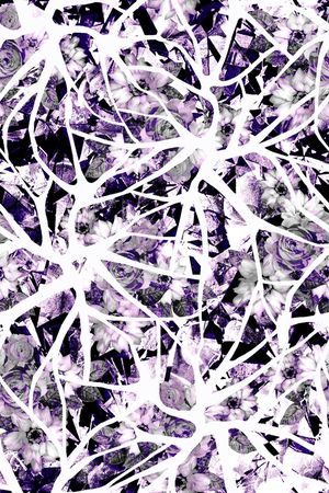 防数码印花华亿平台图片