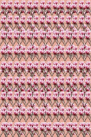 条纹混搭印花华亿平台图片