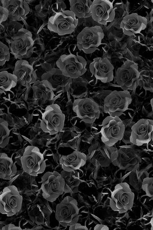 玫瑰花印花华亿平台图片