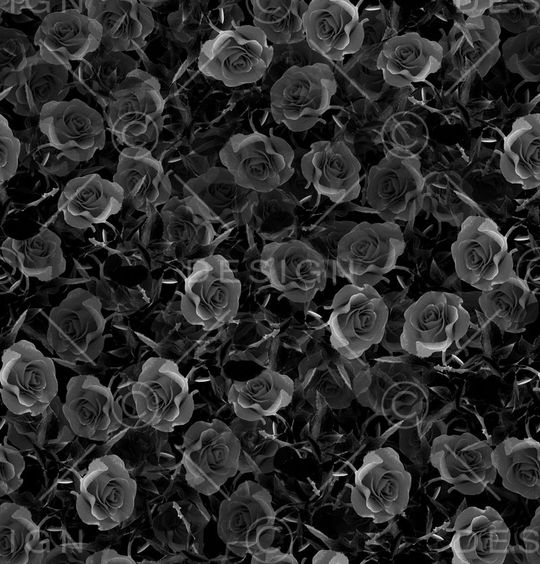 玫瑰花印花华亿平台图片