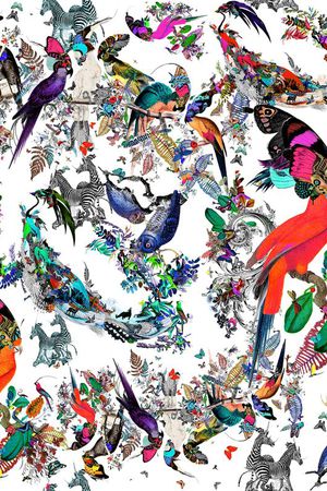 蝴蝶印花华亿平台图片