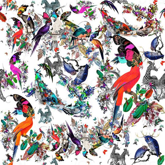 蝴蝶印花华亿平台图片