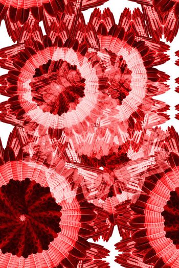 596457-2016031903鸟羽(黄色）