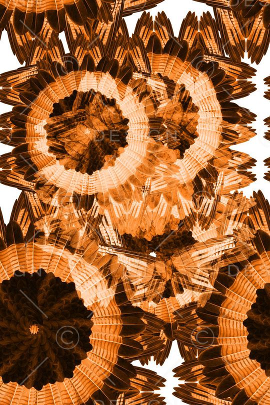 时尚印花华亿平台图片