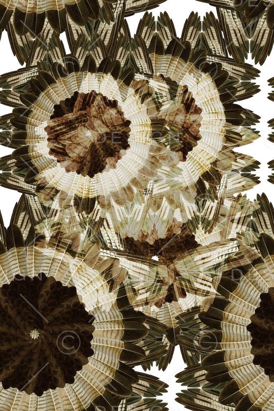 时尚印花华亿平台图片