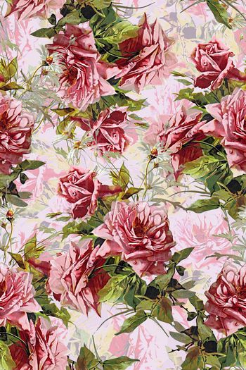 596497-手绘玫瑰花大花卉乱花