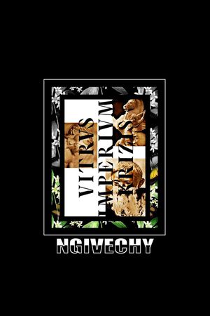 男装衬衫印花华亿平台图片