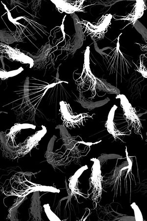 女装印花华亿平台图片