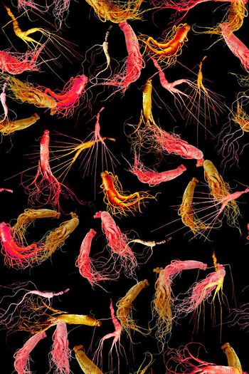 596731-时尚男装印花