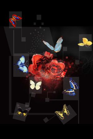 菱形印花华亿平台图片