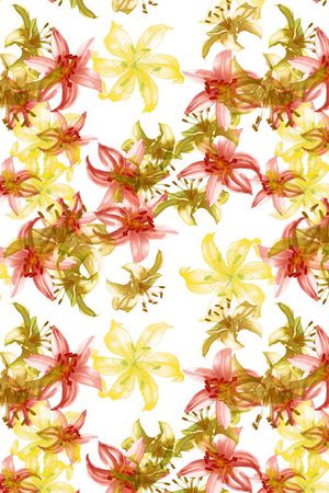 百合印花华亿平台图片