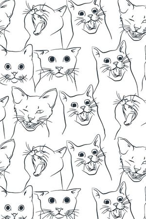 卡通印花华亿平台图片